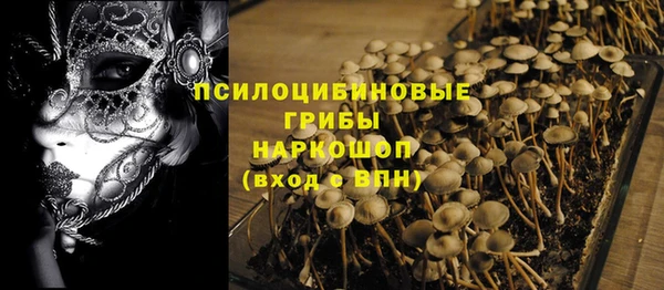 мет Аркадак