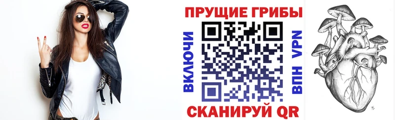 Псилоцибиновые грибы Psilocybe  Арсеньев 